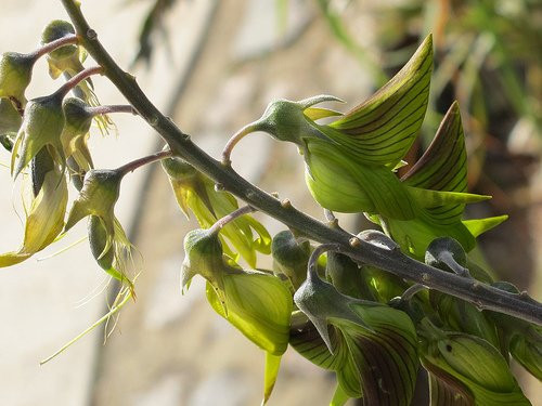 Onslow Visitors Centre-Onslow必去景点