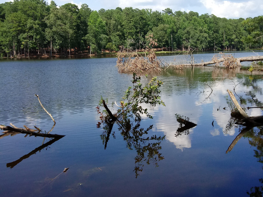Clarkco State Park