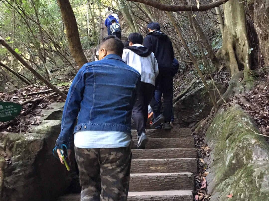 千岛湖森林氧吧-淳安县必去景点