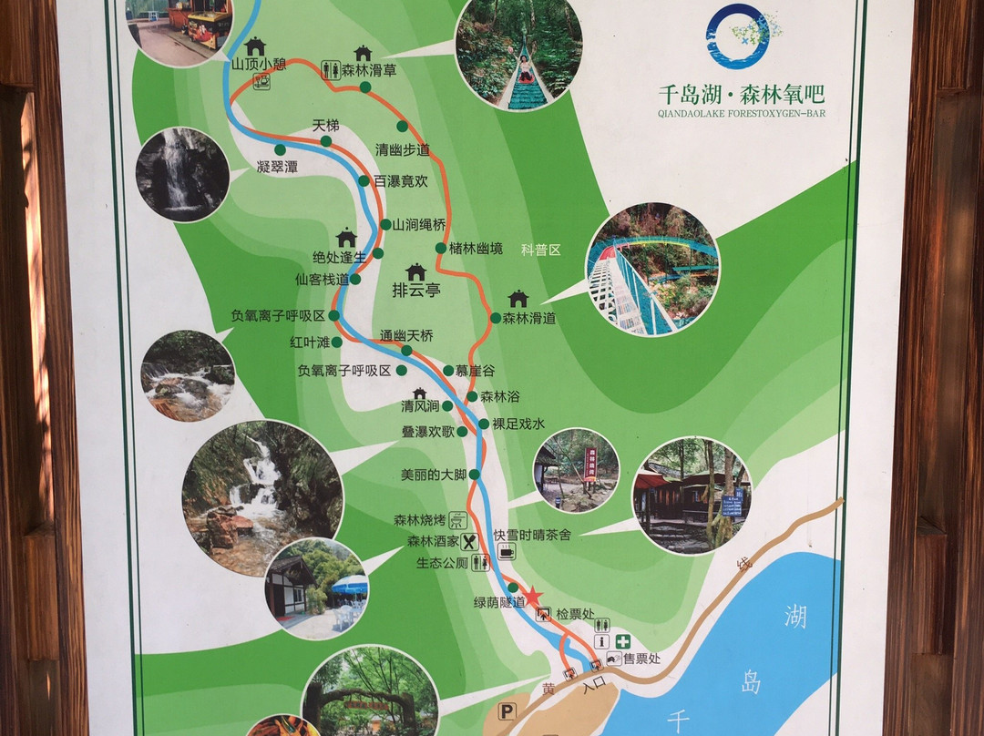千岛湖森林氧吧-淳安县必去景点
