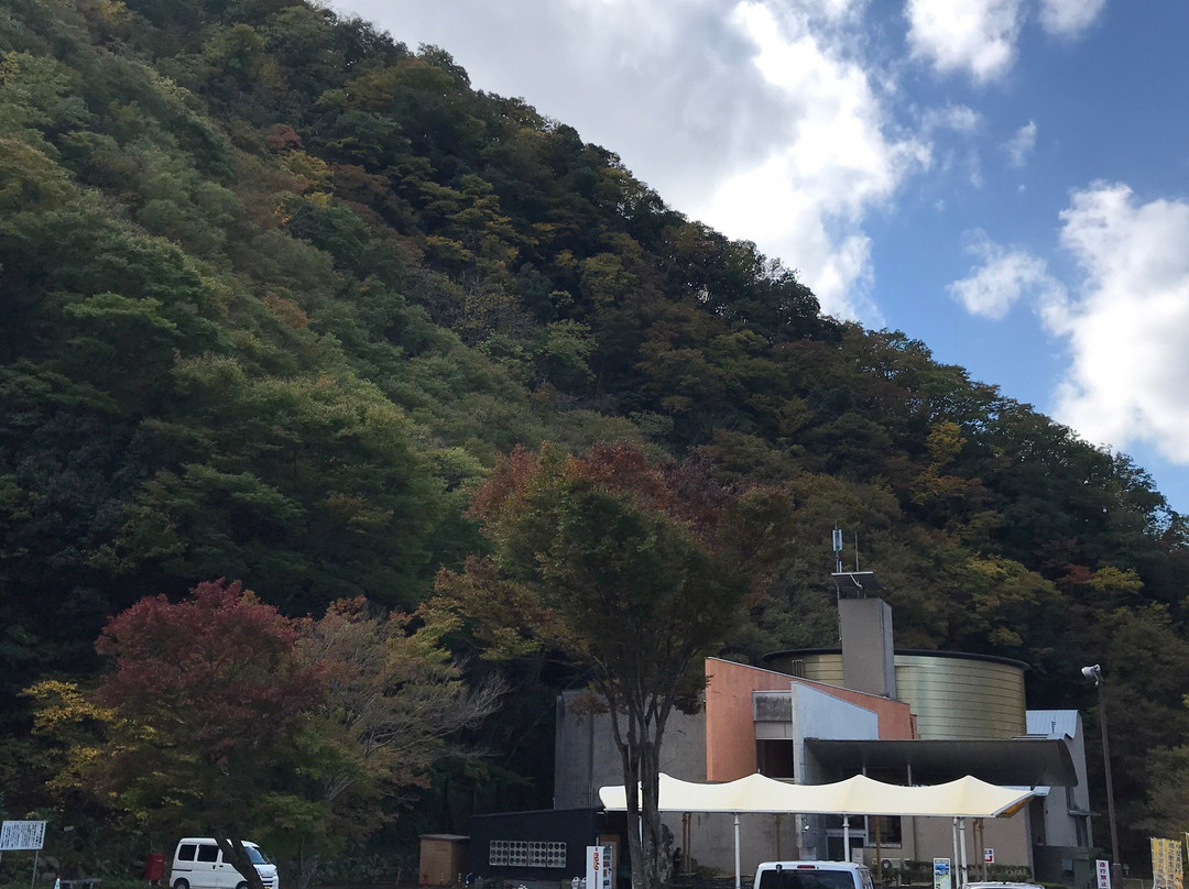 The Yunooku Museum of Gold Mining History景点图片