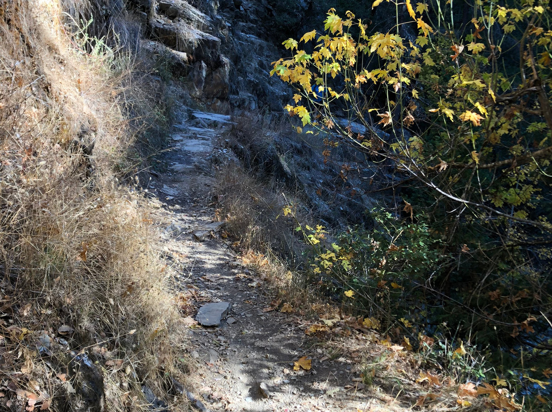 The Downieville Downhill-Downieville必去景点