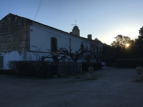 Le Sambuc餐馆和美食-Domaine De La Tour Du Cazeau