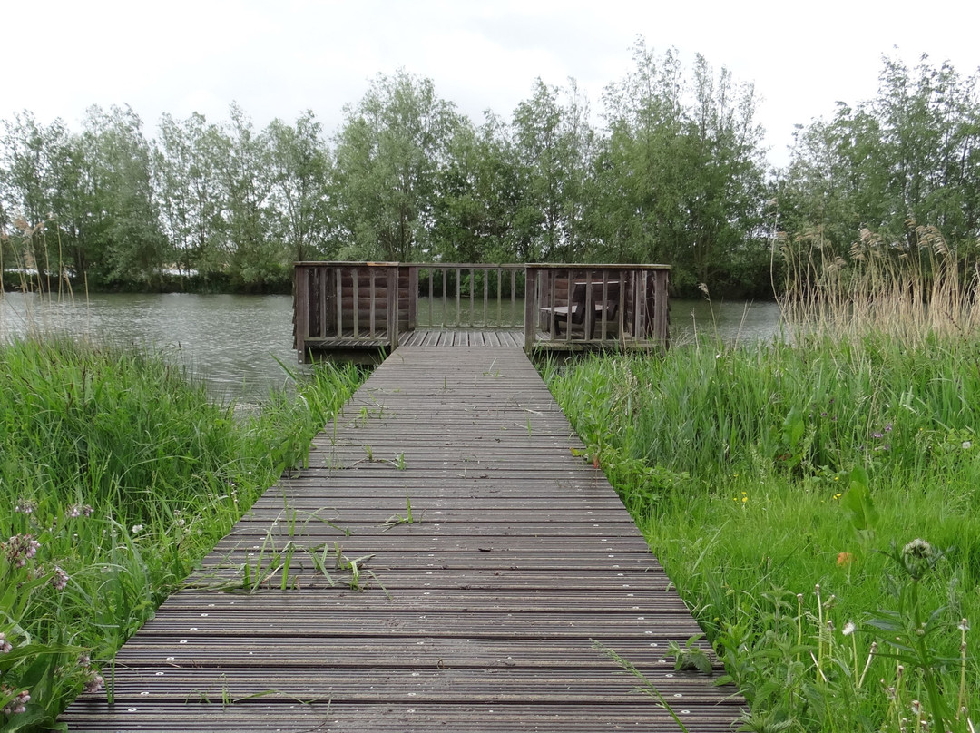 Rhoonse grienden-Rhoon必去景点