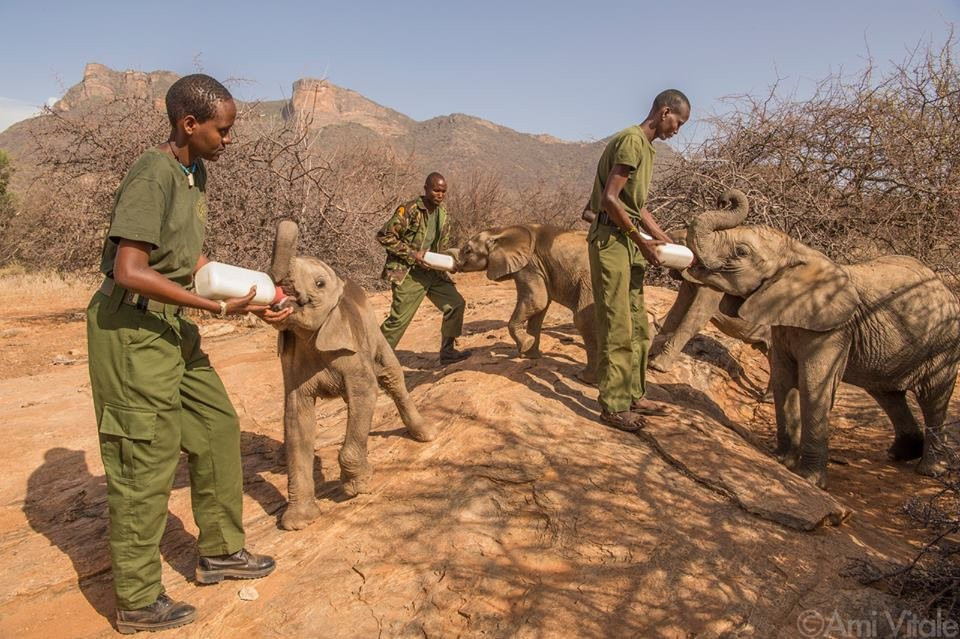 Capture Kenya Expeditions-内罗毕必去景点