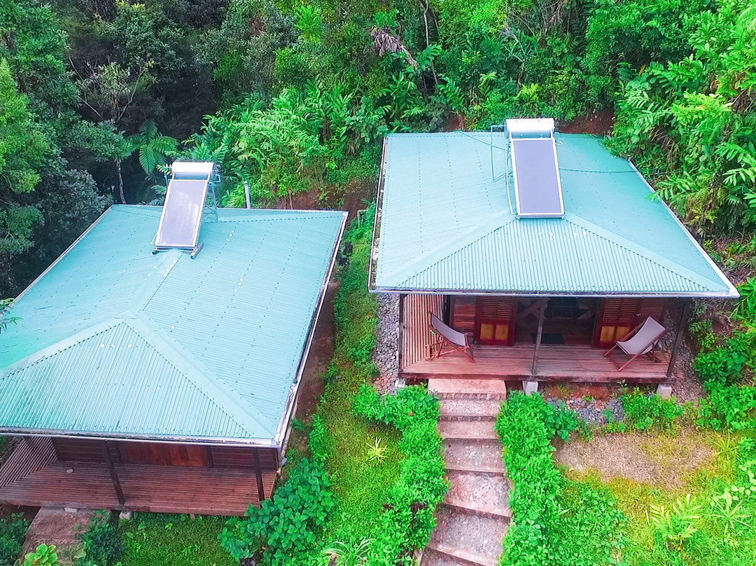 Dounia Forest Lodge