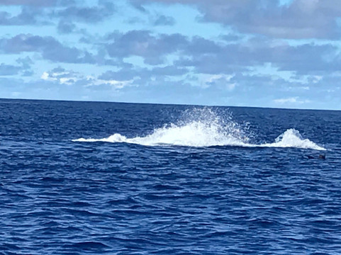 Rurutu Reefs-Rurutu必去景点
