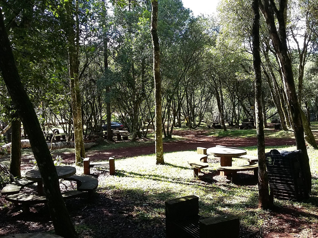 Salto Krysiuk-Guaraní必去景点