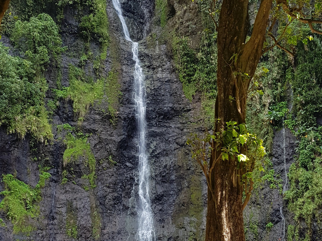 Faarumai Waterfalls景点图片