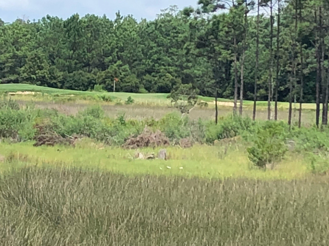 Carolina National Golf Club-Bolivia必去景点