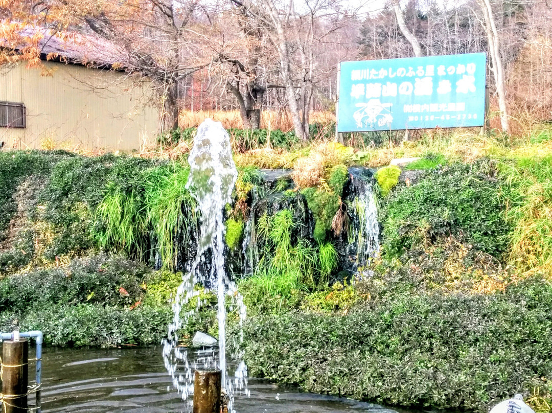 Mt. Yotei Spring Water景点图片