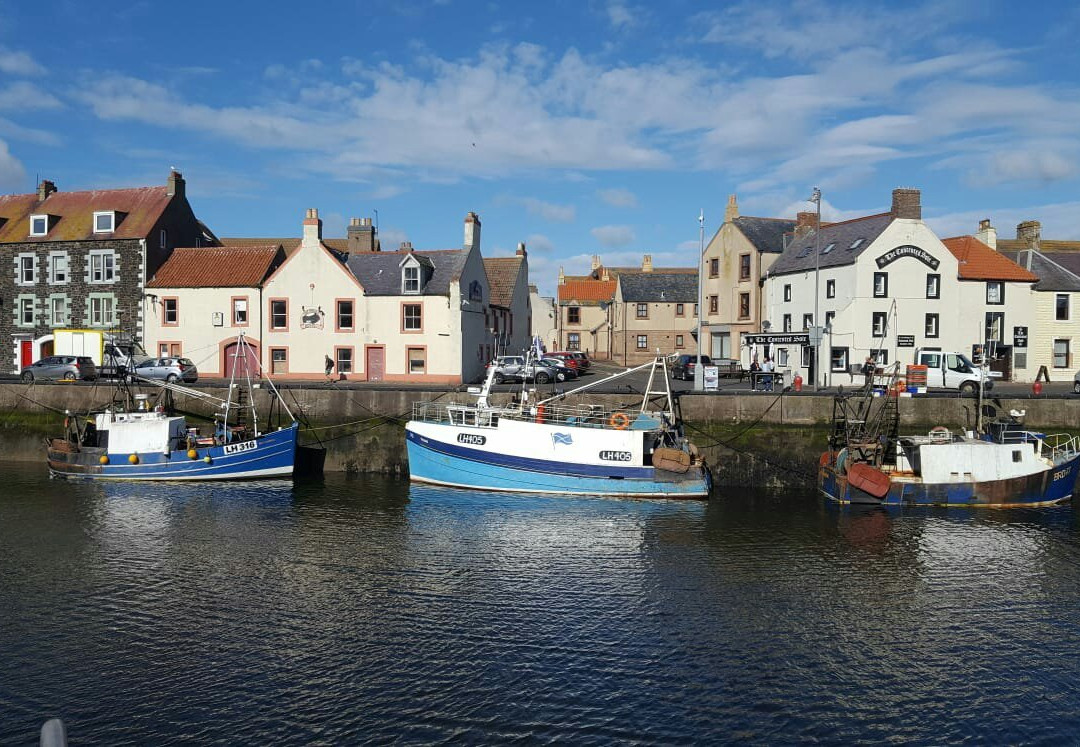 Scottish Borders旅游景点-Eyemouth Harbour