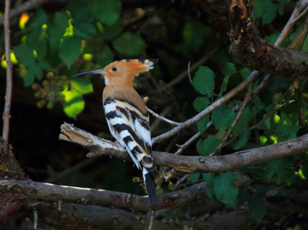 Randonnée Pedestre 07/34-瓦隆蓬达尔克必去景点
