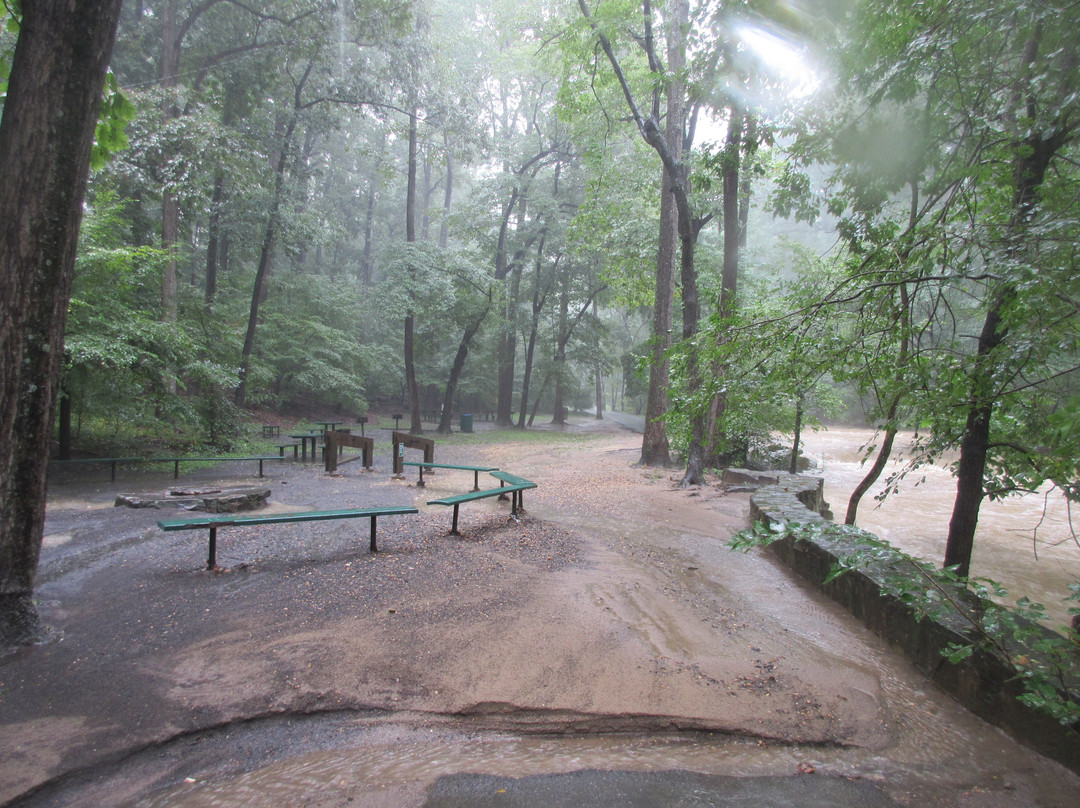 Lubber Run Park景点图片
