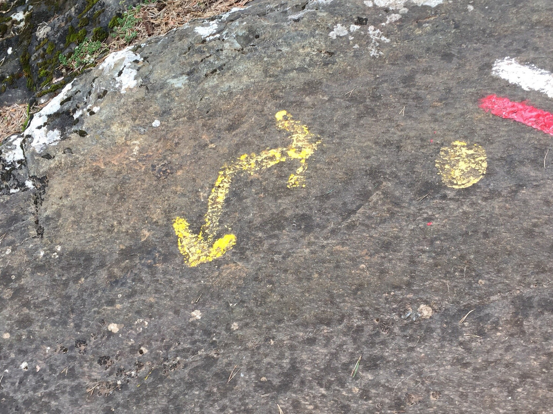 Cami Coll de les Cases-阿林萨尔必去景点