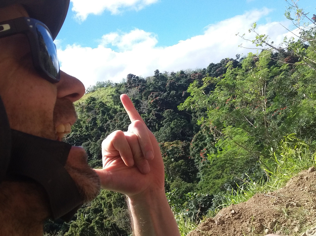 Coral Coast Adventures Fiji Limited景点图片