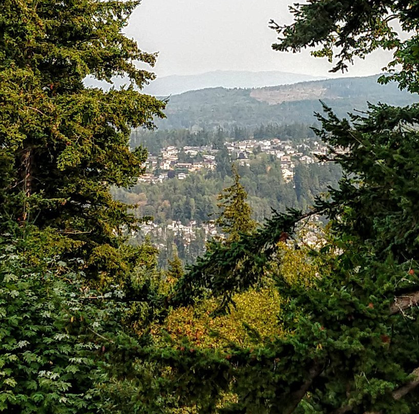 Sehome Hill Arboretum景点图片