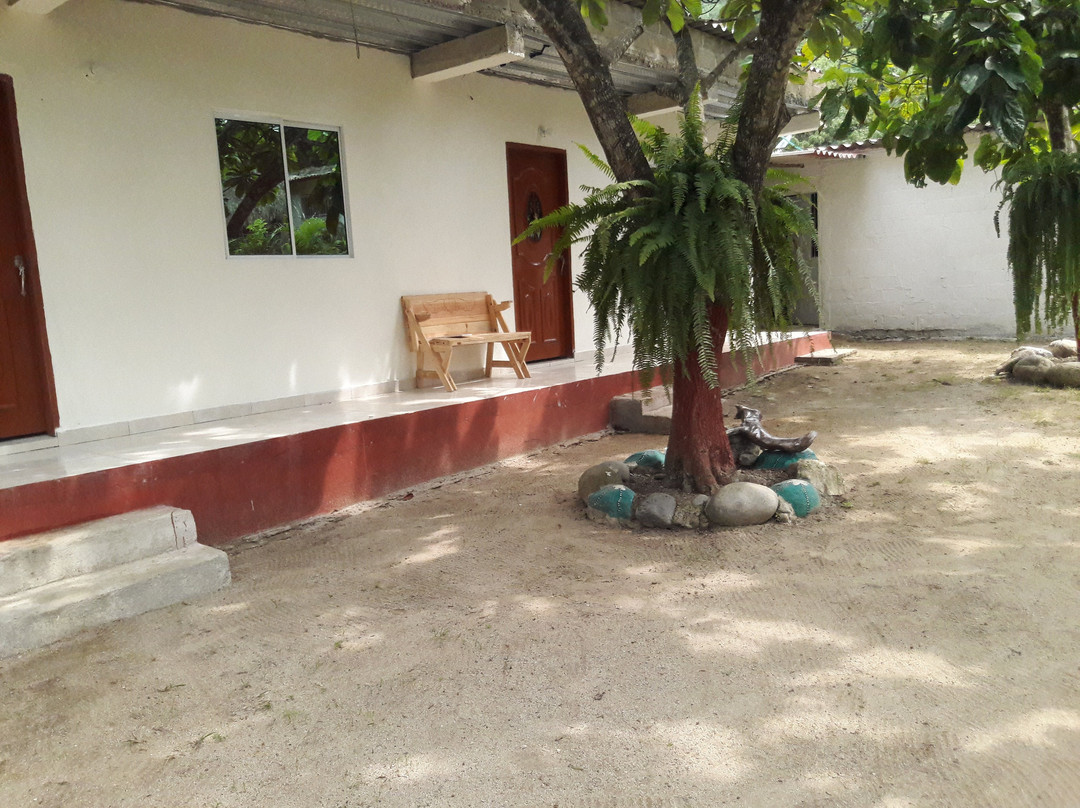 The Shark Hostel