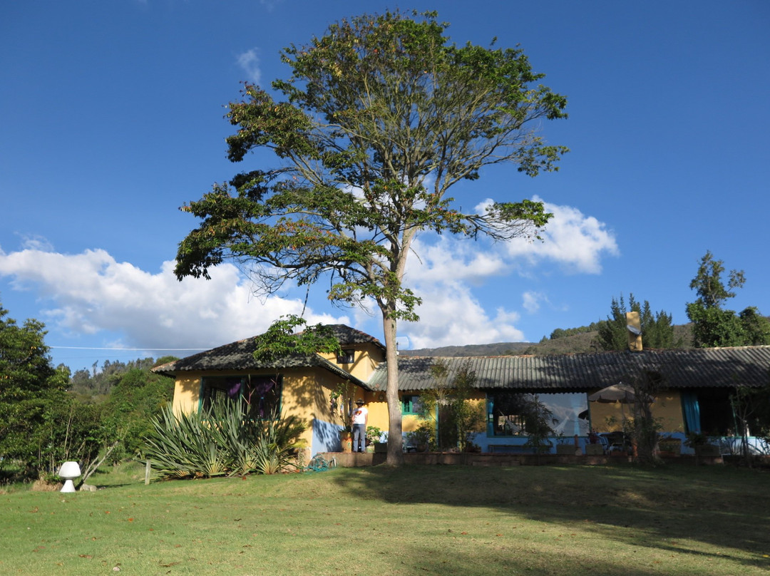 La Juanita Finca Verde主图