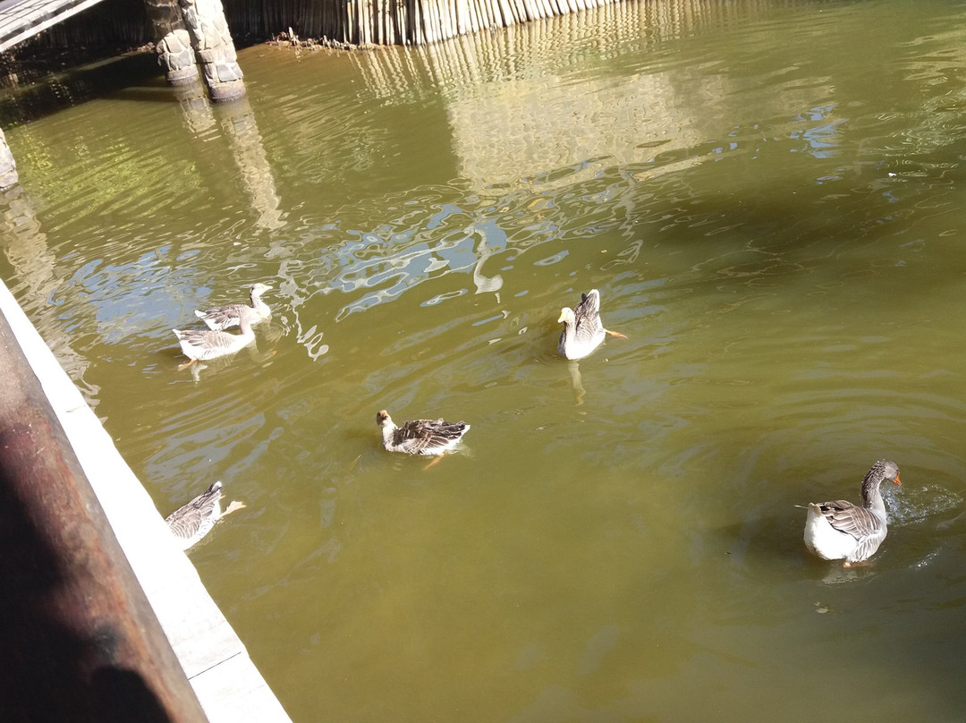 Hotel Acalanto do Vilarejo主图