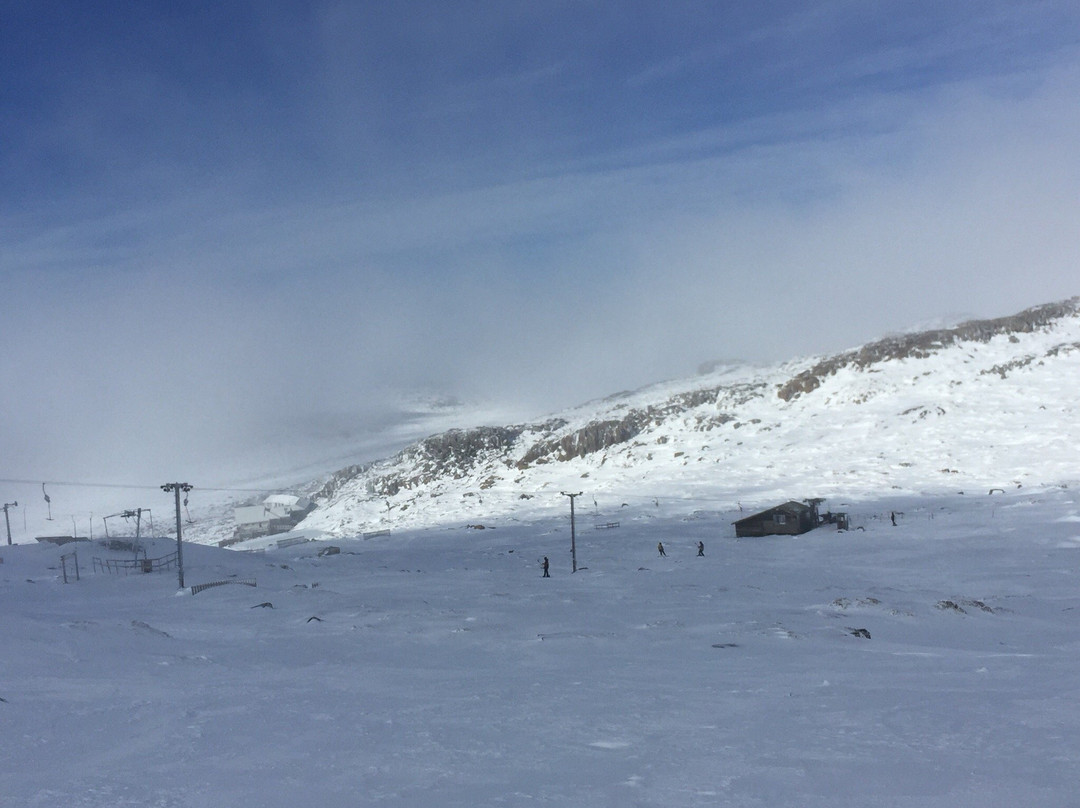 Ben Lomond Snow Sports景点图片