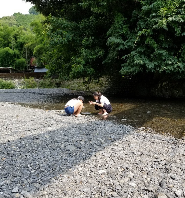 川根本町旅游攻略图片