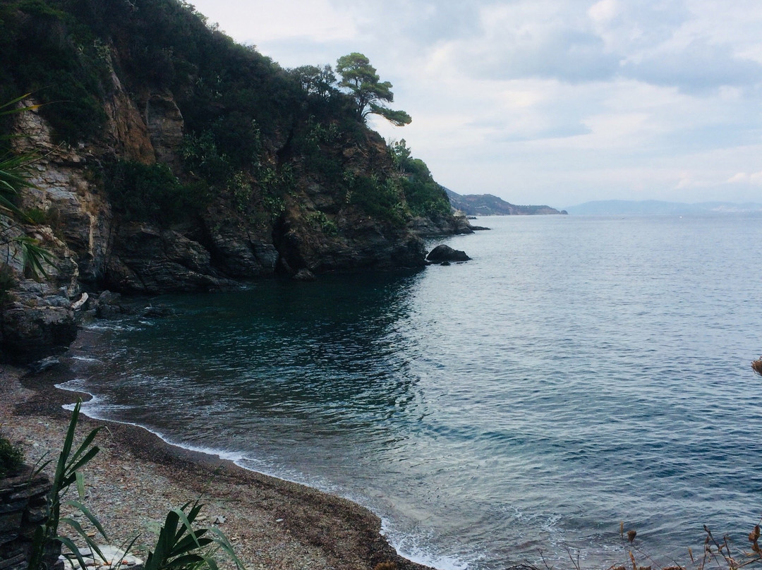 Spiaggia Luisi d'Angelo景点图片