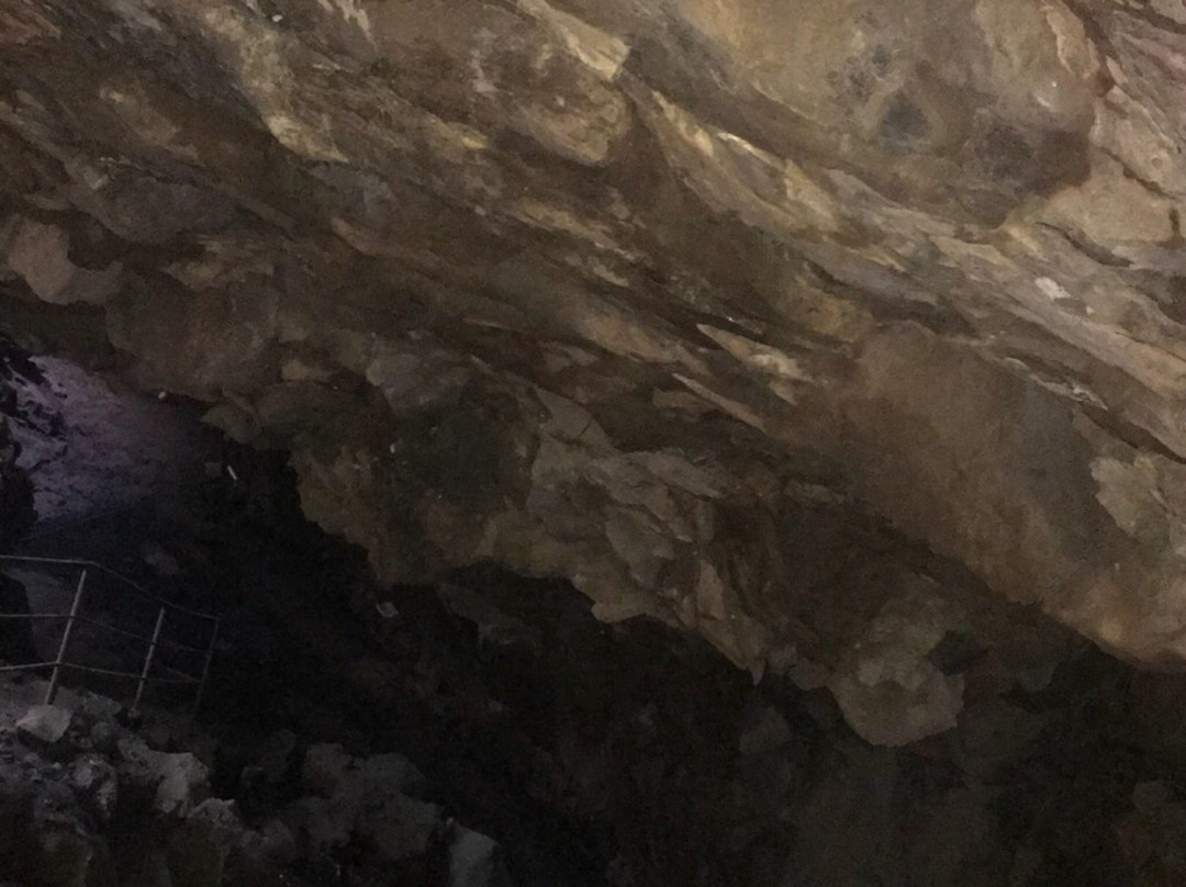 LA Cueva de la Orquidea-哈拉帕必去景点