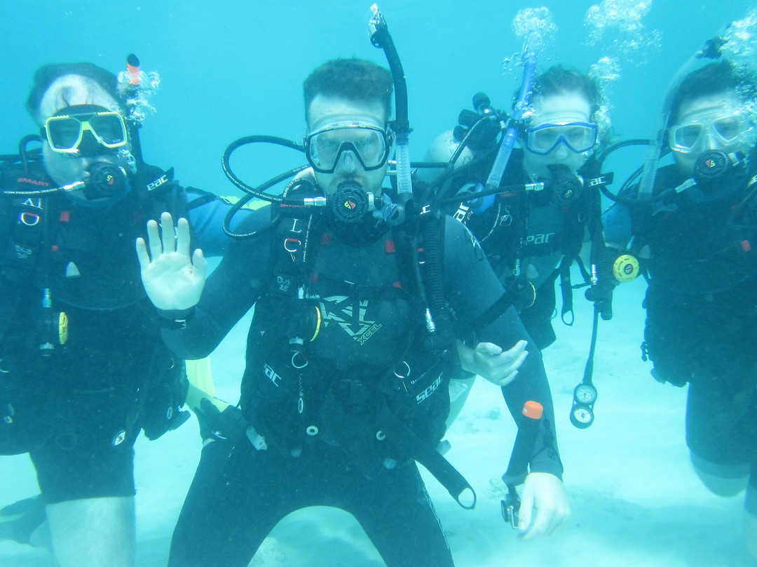 Buddy Dive Water Sports-Kralendijk必去景点