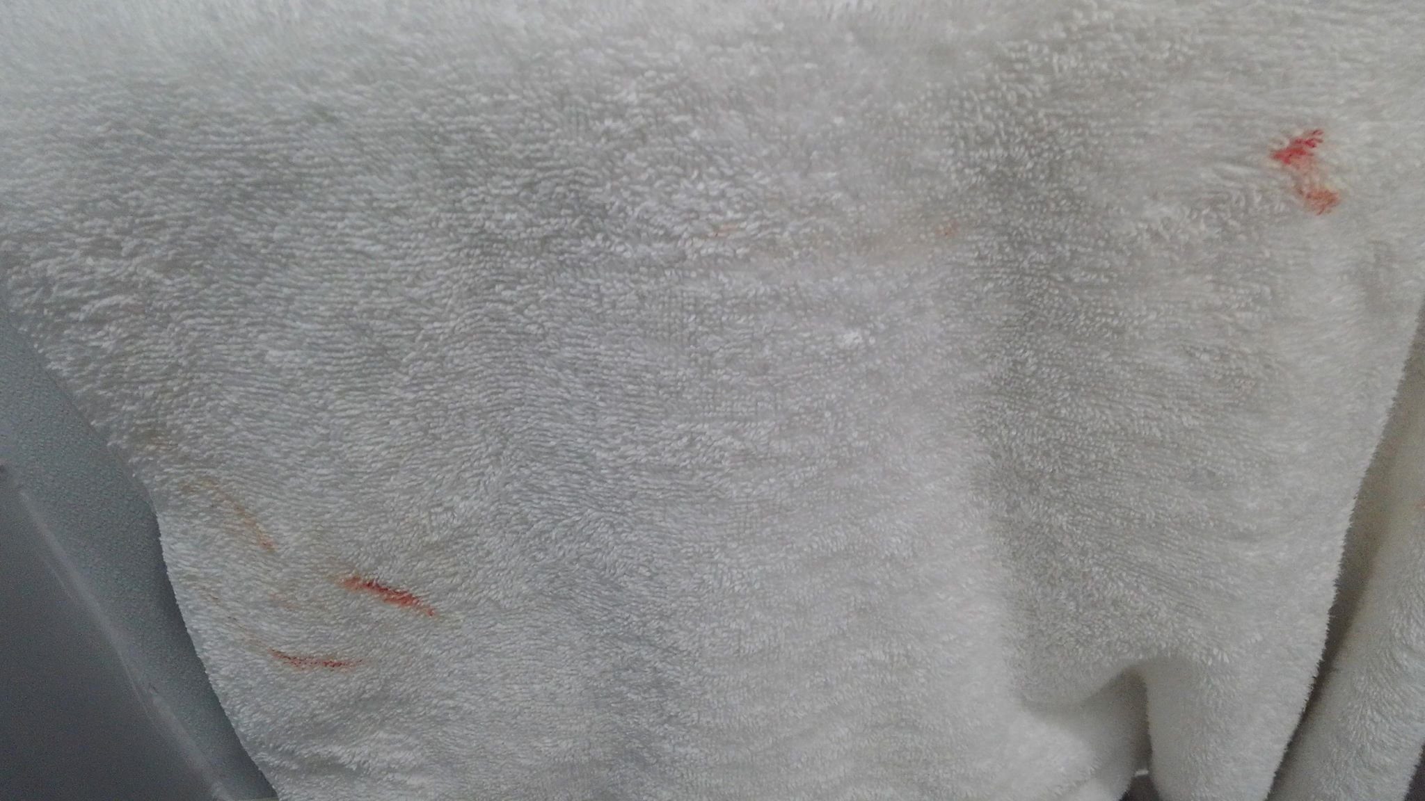 海沃德品质酒店-浴室