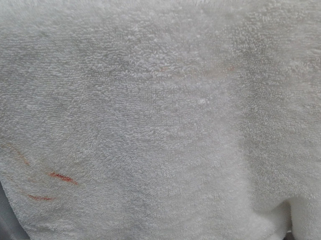 海沃德品质酒店主图