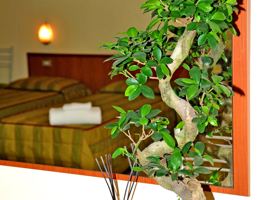 圣西罗菲耶拉酒店主图