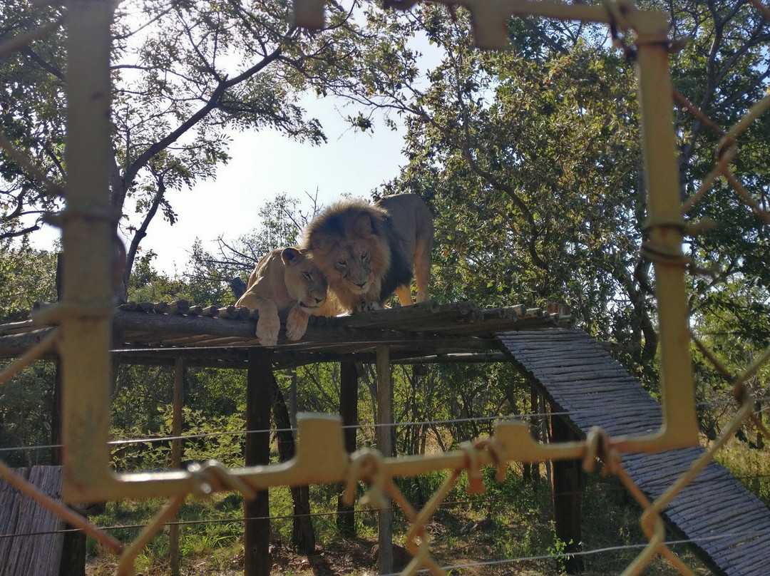 Mahala View-比勒陀利亚必去景点