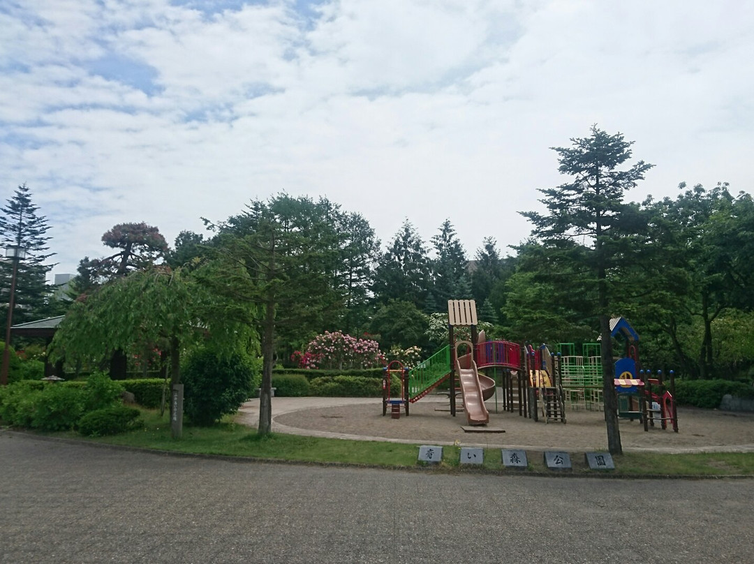 Aoimori Park景点图片
