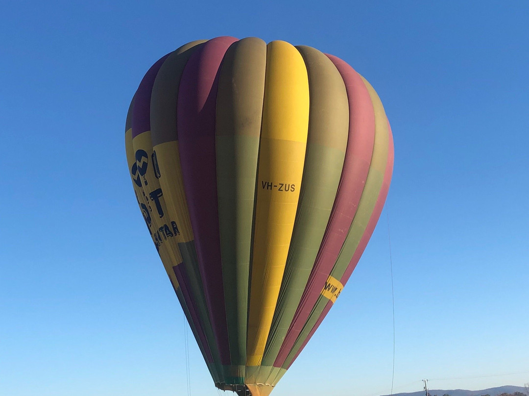 Goldrush Ballooning King Valley-King Valley必去景点