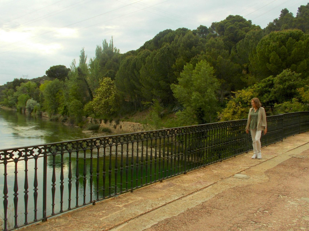 Salto de Bolarque景点图片