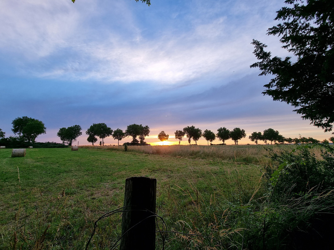 Domaine de Seugnac