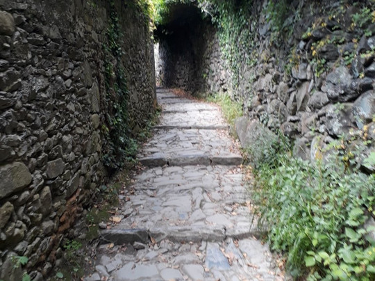 Cinque Terre Urban Adventures-里奥马焦雷必去景点