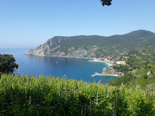 Cinque Terre Urban Adventures-里奥马焦雷必去景点