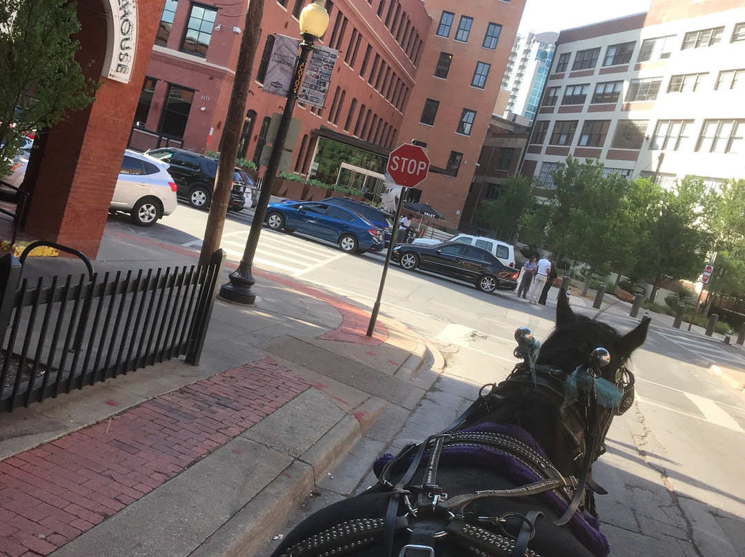 Northstar Carriage-达拉斯必去景点