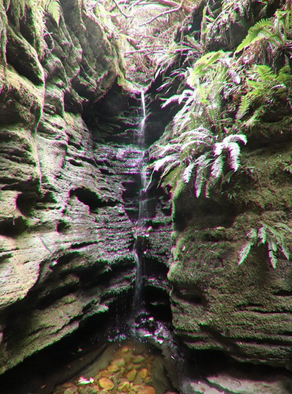 Secret Falls-霍巴特必去景点