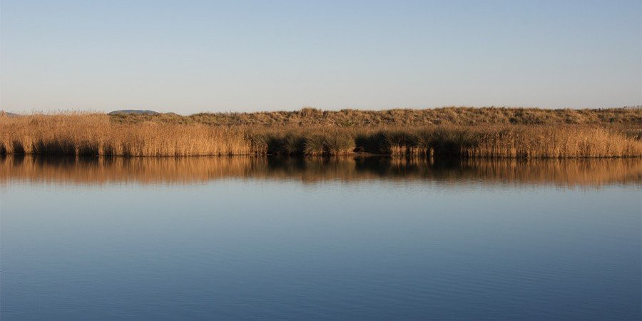 Etangs de Villepey景点图片