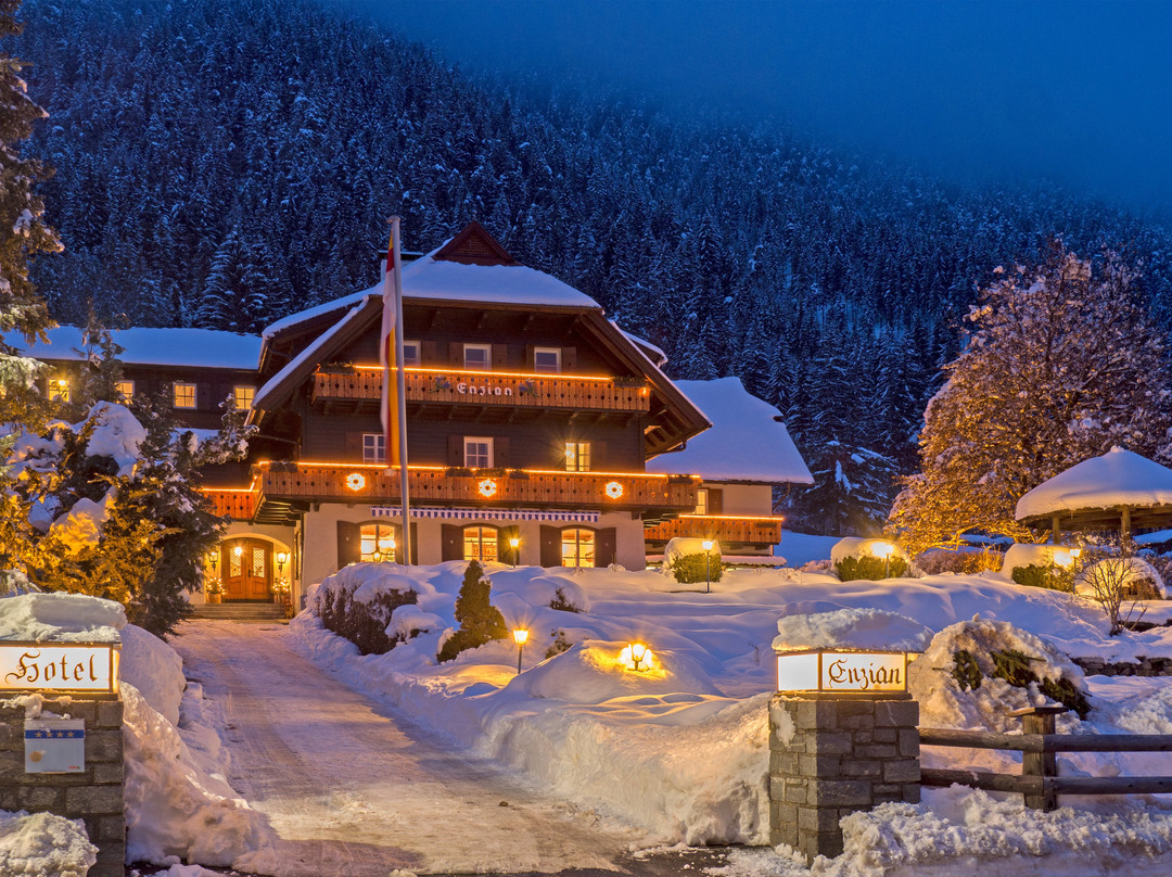 Seehotel Enzian主图