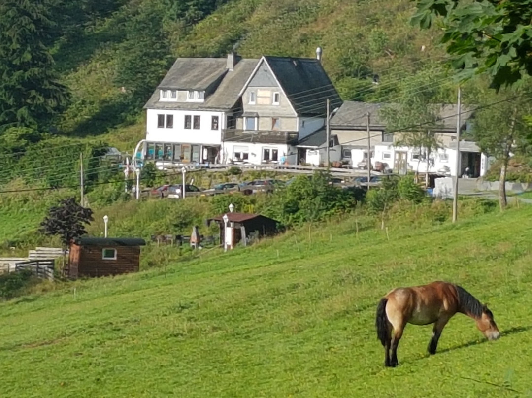 Landgasthof Nesselbach主图