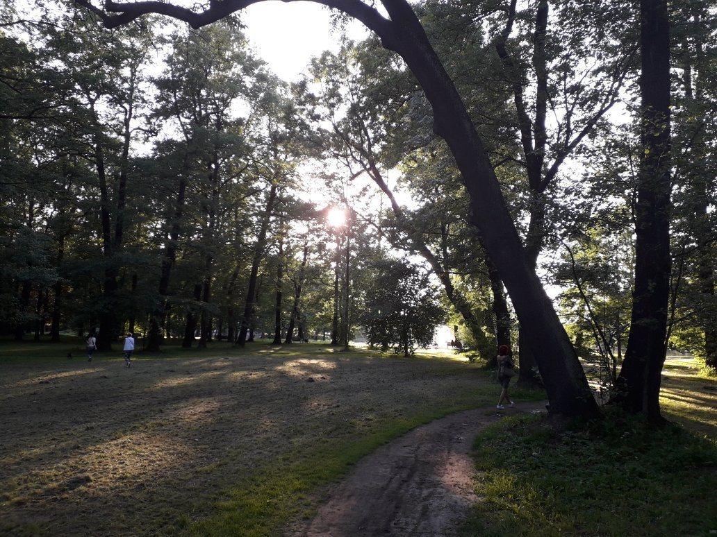 The Potulicki Park景点图片
