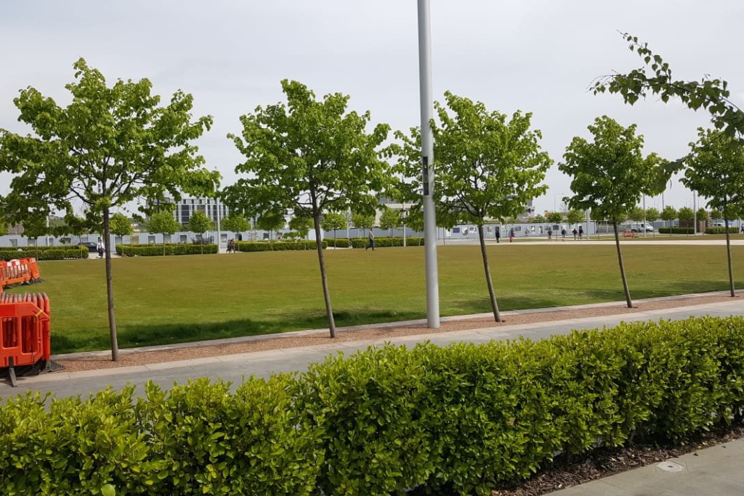 Slessor Gardens-敦提必去景点