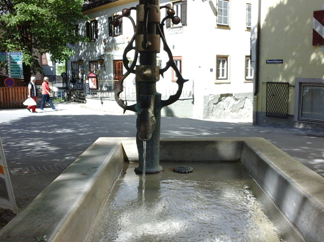 Thermalwasserbrunnen am Kaiser Franz Platz景点图片