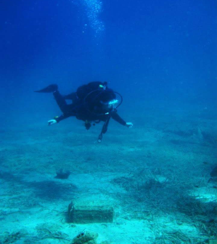 School of Diving Kouvaris景点图片