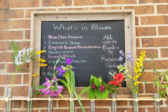 UNC Charlotte Botanical Gardens-夏洛特必去景点