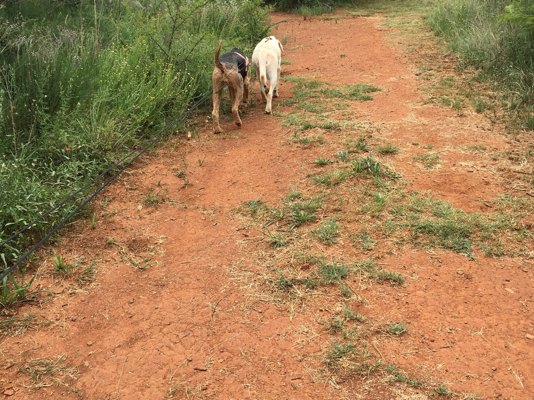 Faerie Glen Nature Reserve-比勒陀利亚必去景点